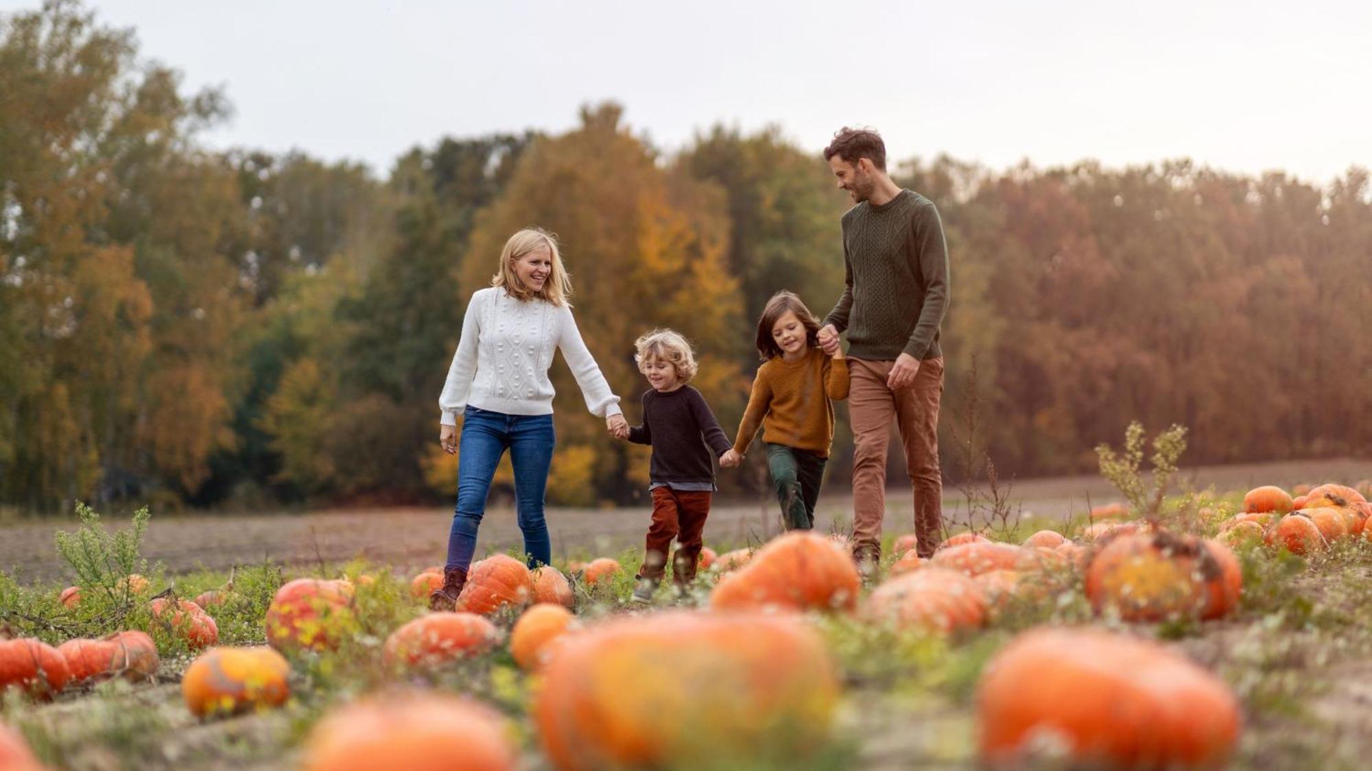 Crowne Plaza Dublin Blanchardstown By Ihg Hotel Ngoại thất bức ảnh